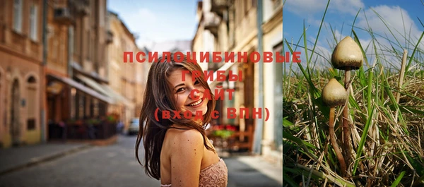 мескалин Абаза