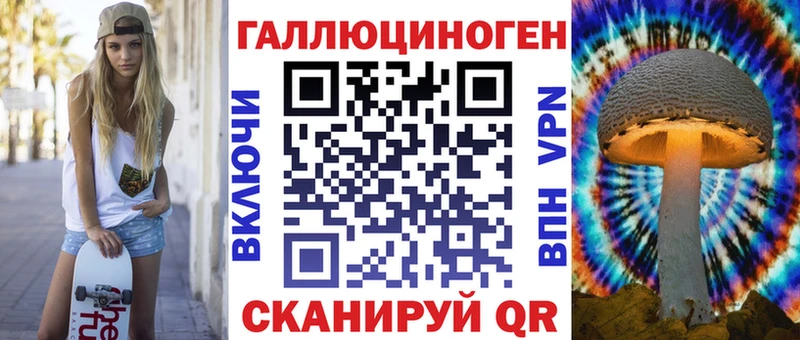 где можно купить   Сорочинск  Галлюциногенные грибы GOLDEN TEACHER 