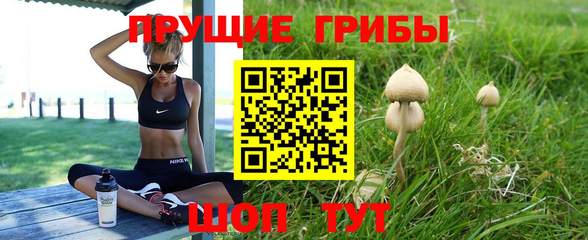 Галлюциногенные грибы Magic Shrooms  закладки  Сорочинск  Вход с VPN 